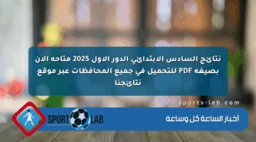 نتائج السادس الابتدائي الدور الأول 2025 متاحة الآن بصيغة PDF للتحميل في جميع المحافظات عبر موقع نتائجنا
